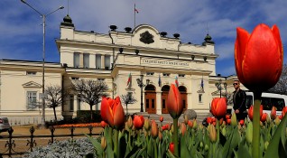 България избира днес новите 240 народни представители в бъдещото 46