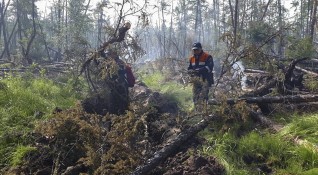 Мащабни горски пожари бушуват в Сибир Според последните данни на