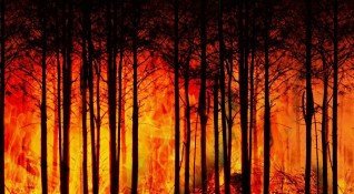 Провинция в Западна Канада обяви извънредно положение заради 300 пожара