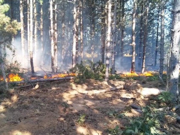 Екстремален индекс за пожароопасност е в сила за териториите на