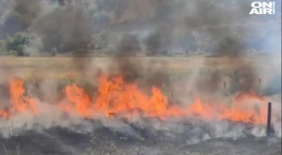 Горят стотици декари земеделски площи при голям пожар край Благоевград