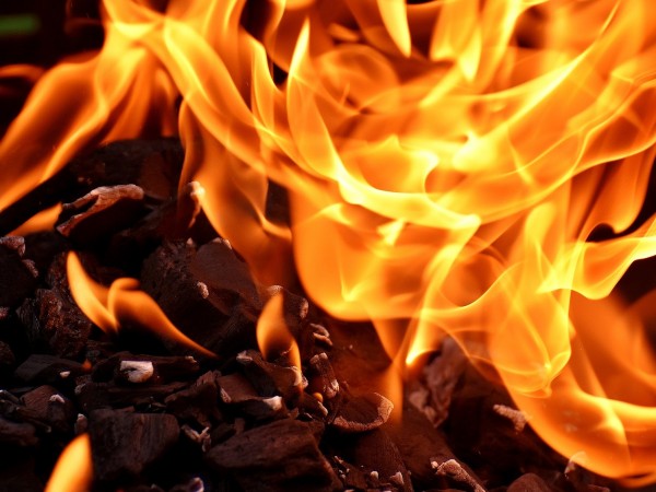 Пожар горя тази нощ в ловешкия парк "Стратеш", съобщи Нова