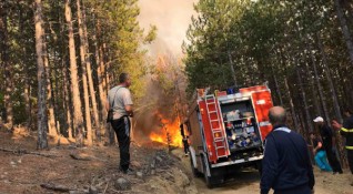 Пожар гори в масив с борова гора над град Твърдица