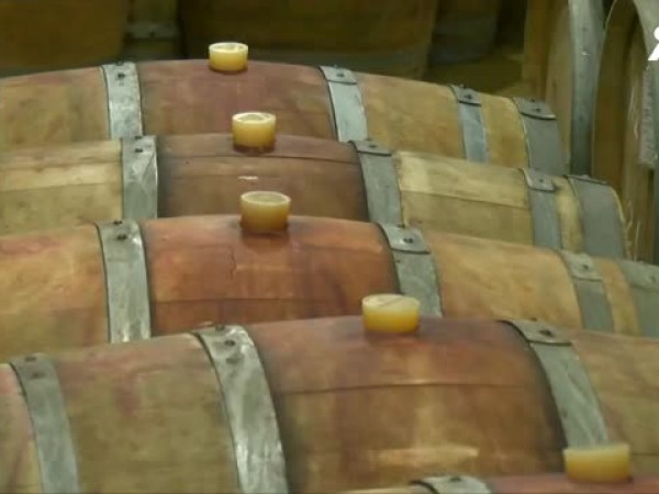 Над 80 милиона литра вино от миналогодишната реколта залежава в