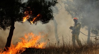 Голям горски пожар се разрази в близост до турския курорт