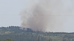 Действията по локализиране на горския пожар над село Виден община