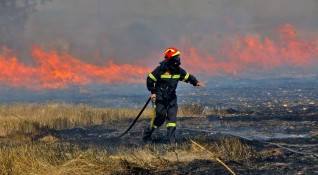 Броят на пострадалите от горските пожари в Южна Турция премина