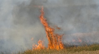 Голям пожар гори в Стара Планина близо до Рожен и