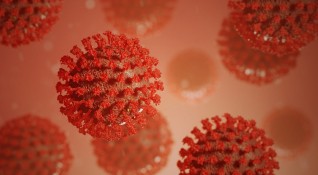 Южноамериканският вариант на новия коронавирус Ламбда е силно заразен и