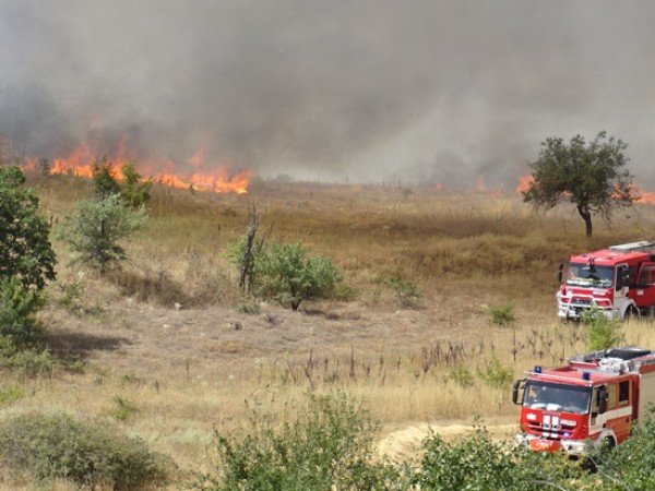 Над 200 пожара са избухнали в страната вчера. 42 от