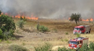Над 200 пожара са избухнали в страната вчера 42 от