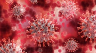 52 нови случая на Делта варианта на коронавируса са установени