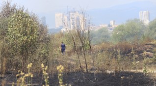 Снимка Димитър Кьосемарлиев Dnes bgГолям пожар е избухнал в София Запалили