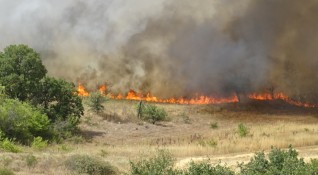 Пожарът в кюстендилското Долно село е локализиран и напълно овладян