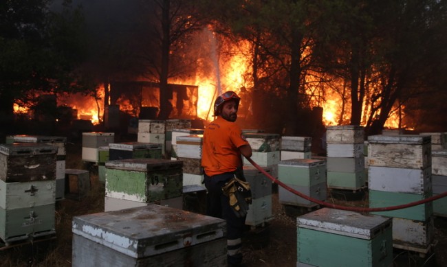 Разраства се пожарът в Атина, хиляди се евакуират