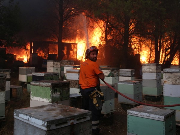Пожарът до северните предградия в Атина се разраства. Тече евакуация