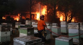 Пожарът до северните предградия в Атина се разраства Тече евакуация
