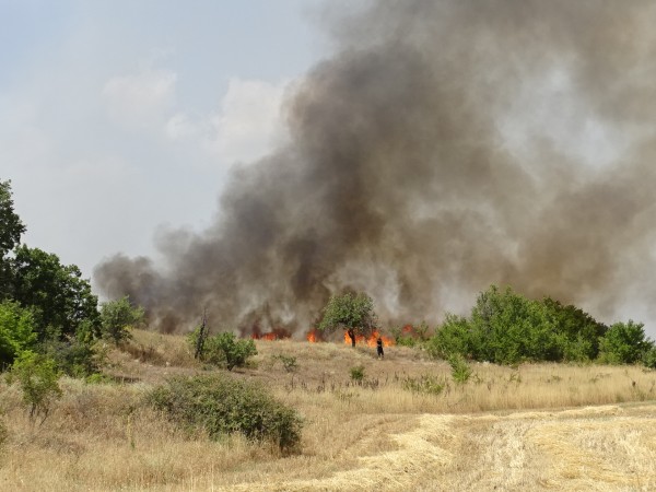 Трагичен развой на пожара край Петрово община Сандански, съобщават от