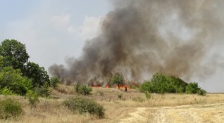 Трагичен развой на пожара край Петрово община Сандански съобщават от