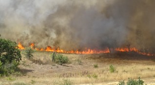 Огънят край Сандански е взел две жертви съобщават от БГНЕС