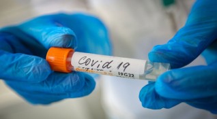 Позитивен резултат за коронавирус е дал бежанец от Специален дом