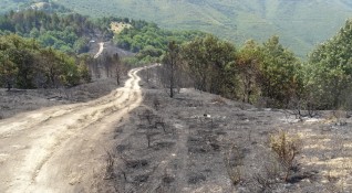 Снимка БГНЕСЛокализиран е пожарът между селата Петрово и Голешово В момента