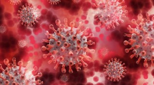 Ваксинираните но заразени с Делта вариант могат да разпространяват коронавируса