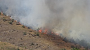 Големият пожар който избухна в македонския град Пехчево вече е