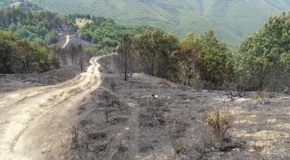 Спряно е рапространението на пожара край село Голешово община Сандански