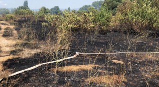 Четири деца причинили пожар по непредпазливост в района на Велинград