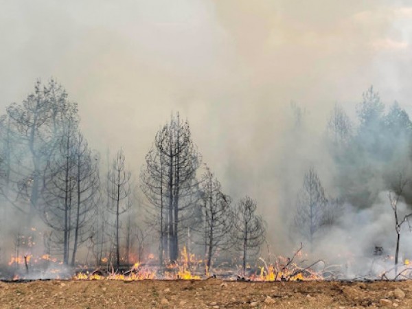 Пожарът над град Баня в близост до село хисарското село