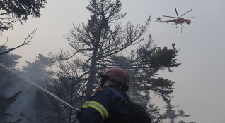 Гърция и Турция се борят с опустошителните пожари в продължение