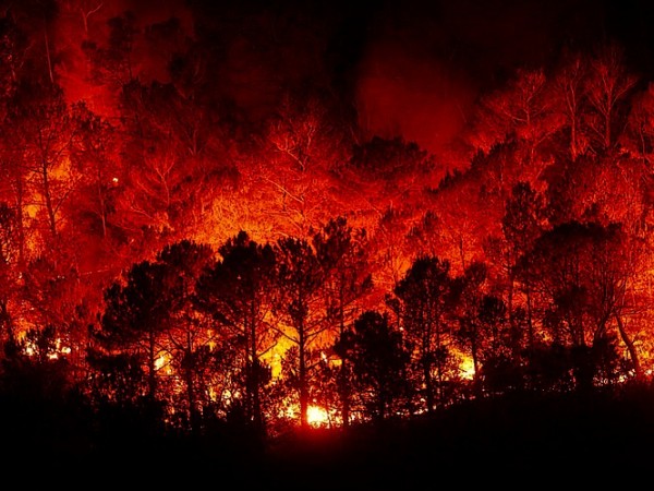 Над 400 души са евакуирани заради голям горски пожар, който