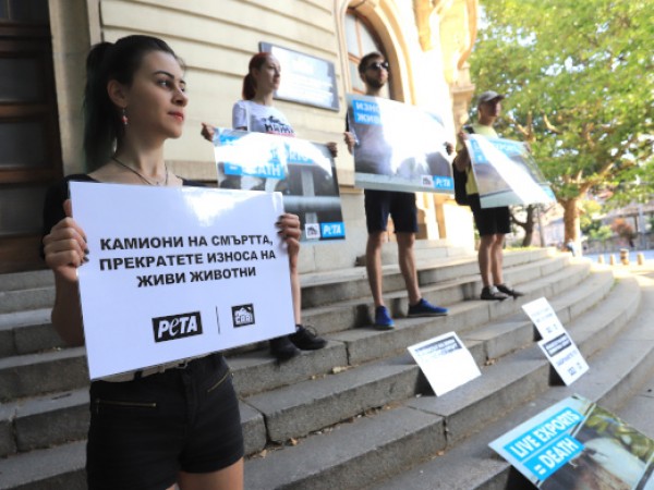 Снимки: Димитър Кьосемарлиев Граждани се събраха на протест пред сградата
