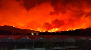 Взирайки се в изгорелите дървета срещу дома си във Варибоби