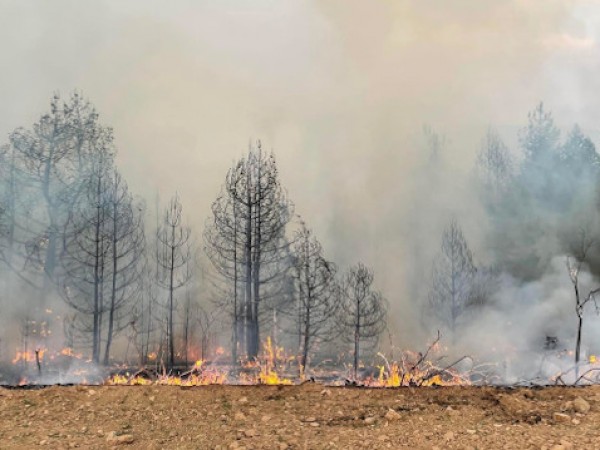 Противопожарната обстановка в Пернишка област остава сложна, съобщават от МВР.