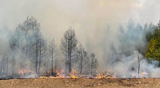 Противопожарната обстановка в Пернишка област остава сложна съобщават от МВР 17