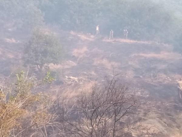 Пожарът в кюстендилското село Чуденци е обхванал и изпепелил над
