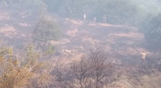 Пожарът в кюстендилското село Чуденци е обхванал и изпепелил над