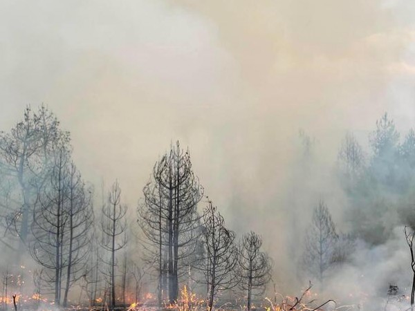 Пожарът, който избухна на 5 август край кюстендилското село Чуденци,
