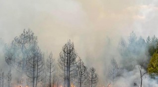 Пожарът който избухна на 5 август край кюстендилското село Чуденци