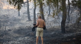 Пожарите отново излязоха от контрол на полуостров Пелопонес в Гърция