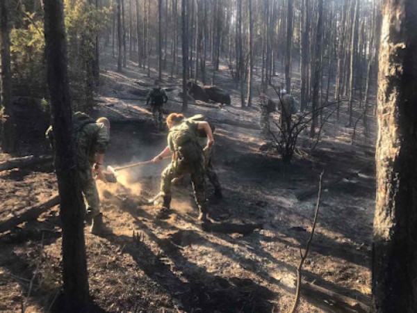 Пожарът между кюстендилските села Ваксево и Фролош е обхванал над