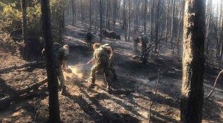 Пожарът между кюстендилските села Ваксево и Фролош е обхванал над