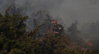 Стотици пожарникари се борят за овладяване на два огромни горски