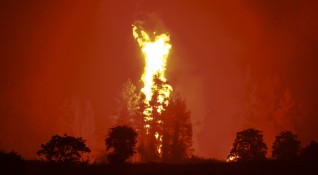 Последните горещи вълни и горски пожари по света предизвикаха тревога