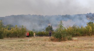 Голям пожар е избухнал до вилната зона край Харманли Пламъците