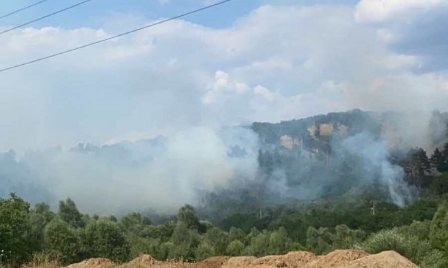 Спирачка на влак предизвика пожар, пламна гора край Трън