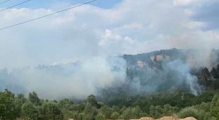 Активиране на спирачка на влак предизвика пожар край дупнишкото село