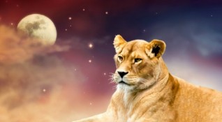 Лъвът е една от най известните и харесвани зодии в астрологията